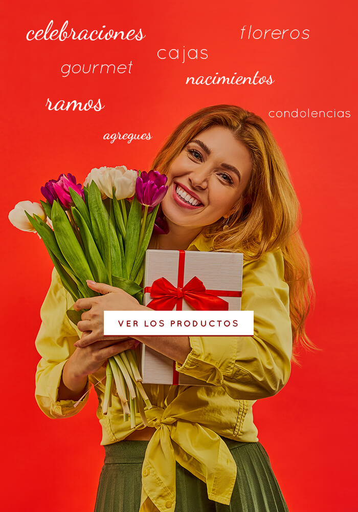 header-decoflor-responsive3